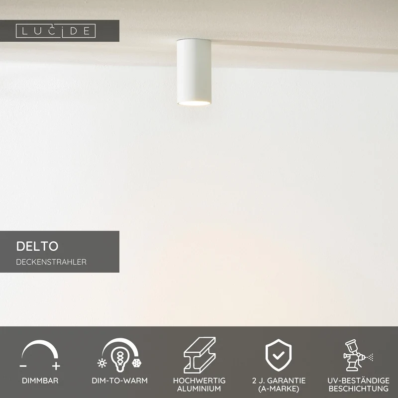 LED-Deckenstrahler Delto dimmbar