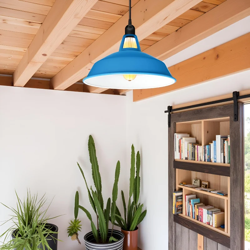 Farbige Vintage Pendelleuchte | Industriedesign E27 ~3953