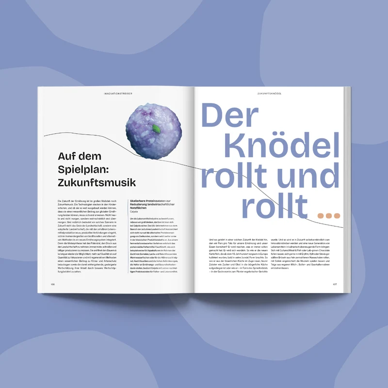 Food Context Pilot – Die fabelhafte Welt der Knödel
