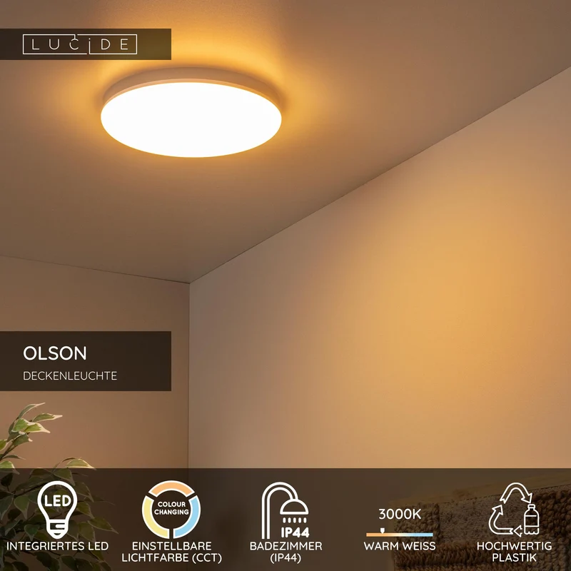 LED-Bad-Deckenleuchte Olson CCT IP44 Ø 29cm Opal