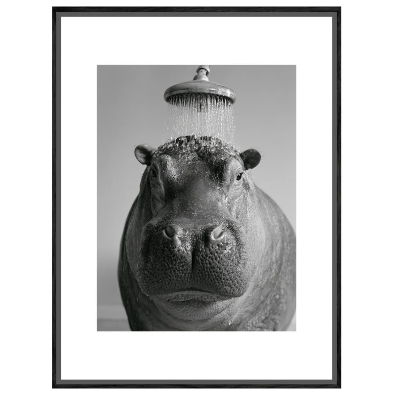 Nilpferd unter der Dusche Leinwand