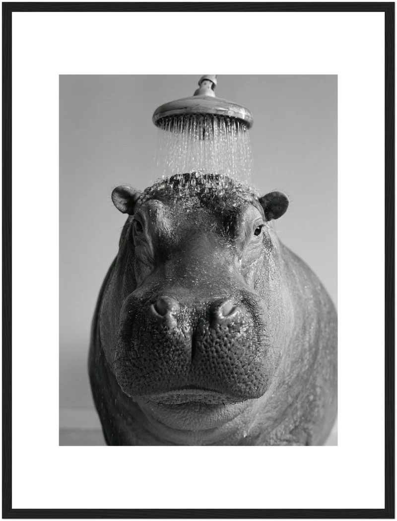 Nilpferd unter der Dusche Poster
