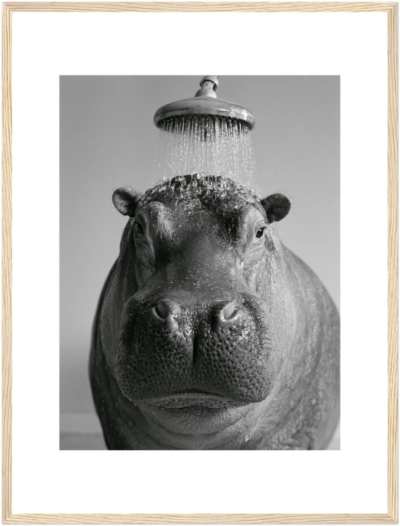 Nilpferd unter der Dusche Poster