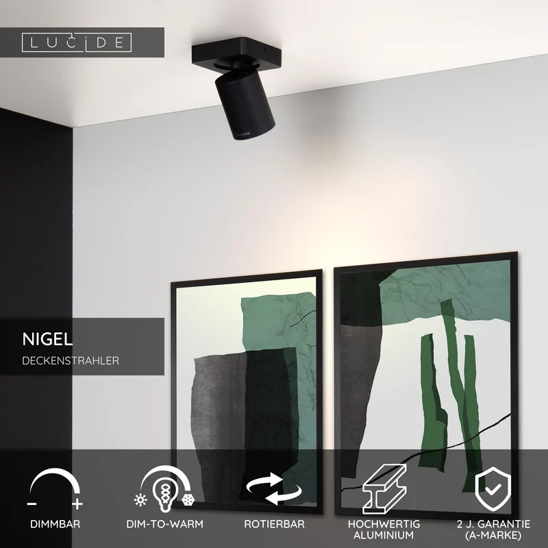 LED-Deckenstrahler Nigel 1-flammig dimmbar drehbar