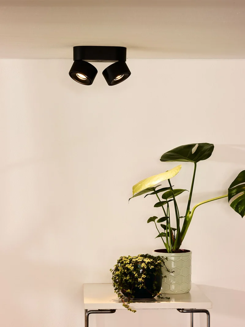 LED-Deckenspot Yumiko 2-flammig dimmbar