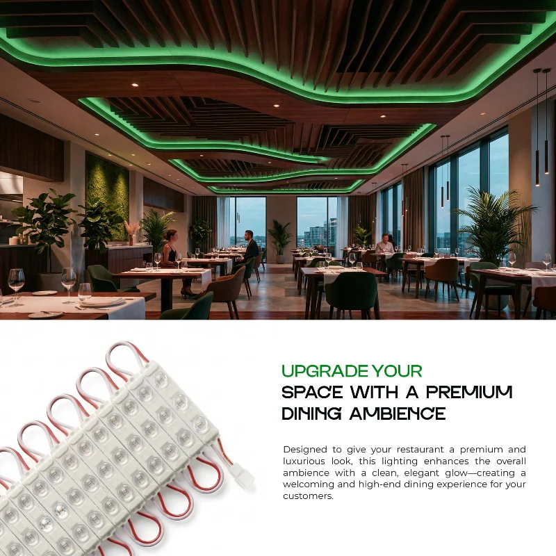200 * LED Modul DC 12V / AC 220V Wasserdicht 1.5W für Lichtwerbung ~3742