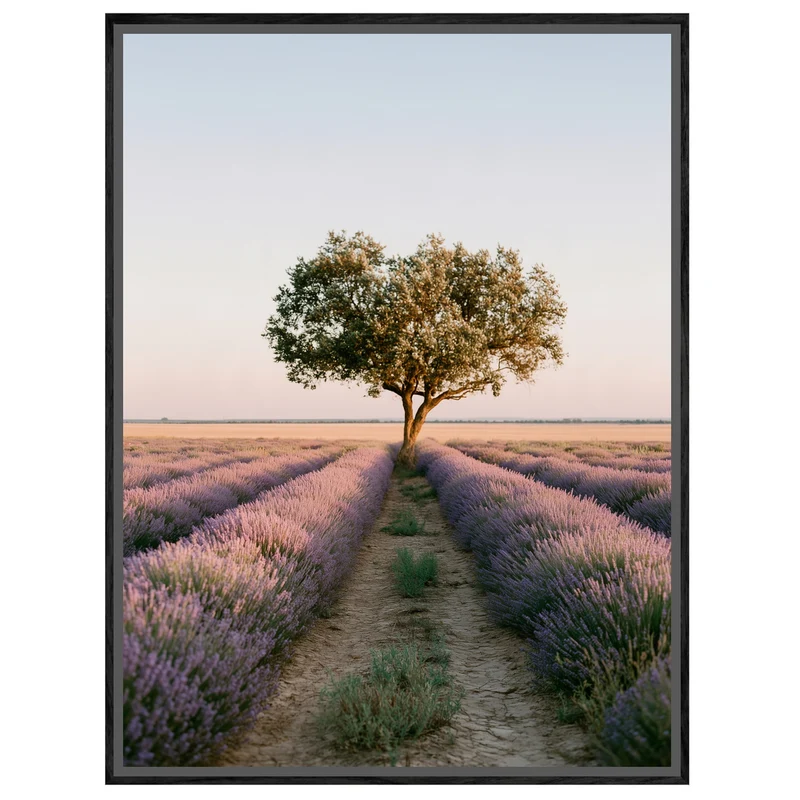 Lavendelfeld mit Baum Leinwand