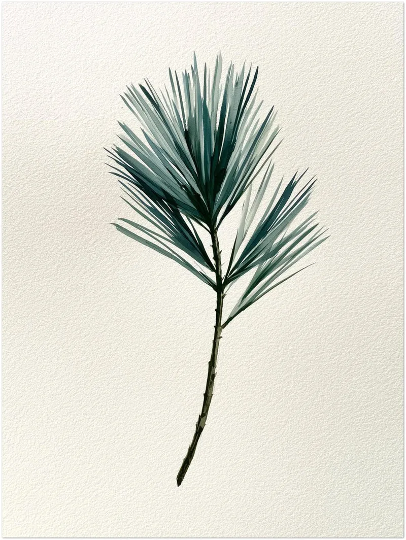 Winterlicher Tannenzweig aquarell Poster