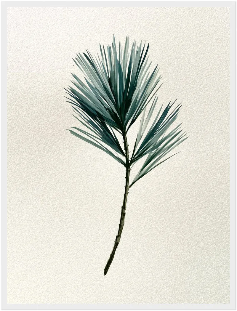 Winterlicher Tannenzweig aquarell Poster