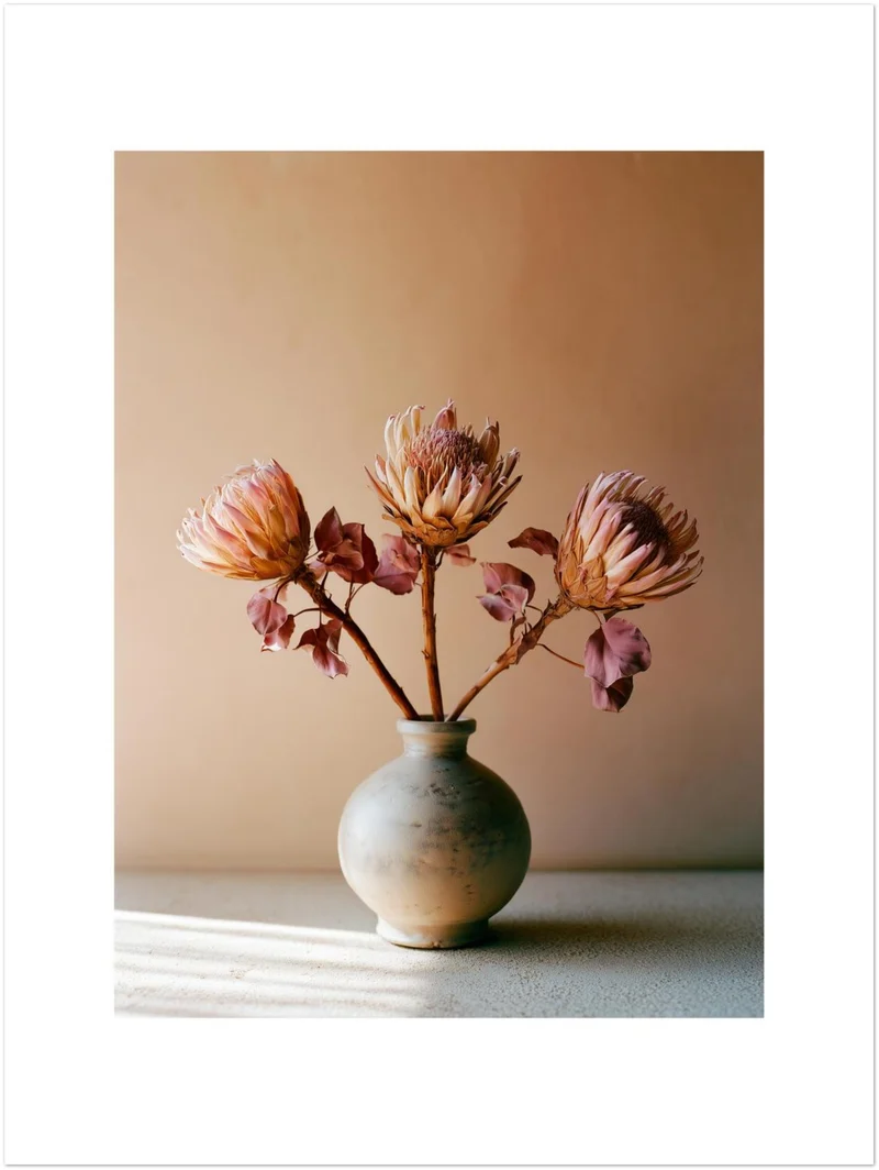 Drei Proteas in Terrakotta Leinwand