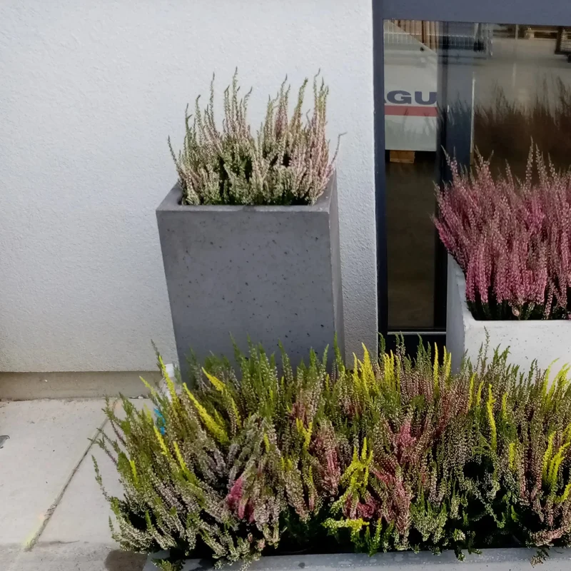 Outdoor Concrete Planters - Rectangle 50x120x50 cm