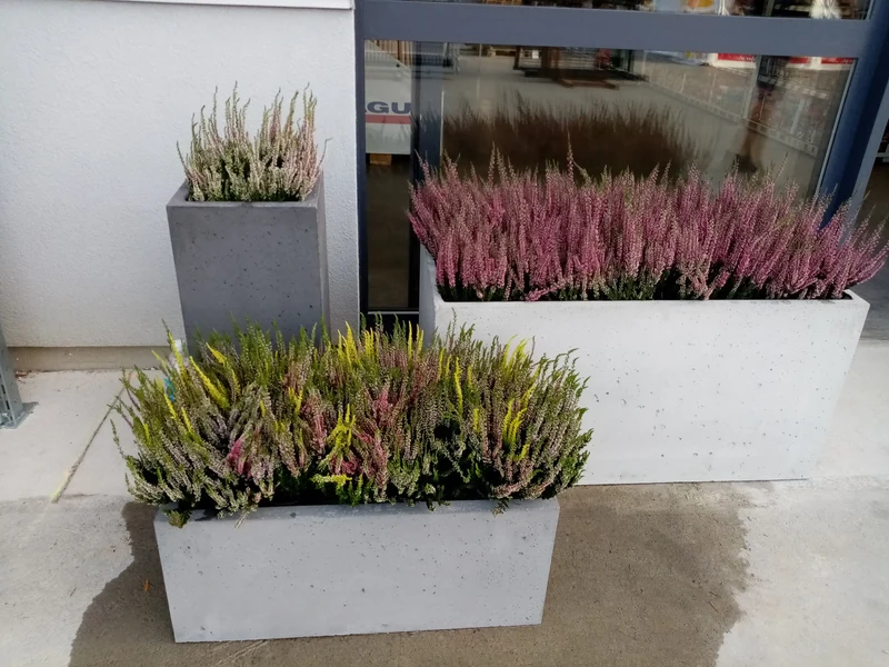 Outdoor Concrete Planters - Rectangle 50x120x50 cm