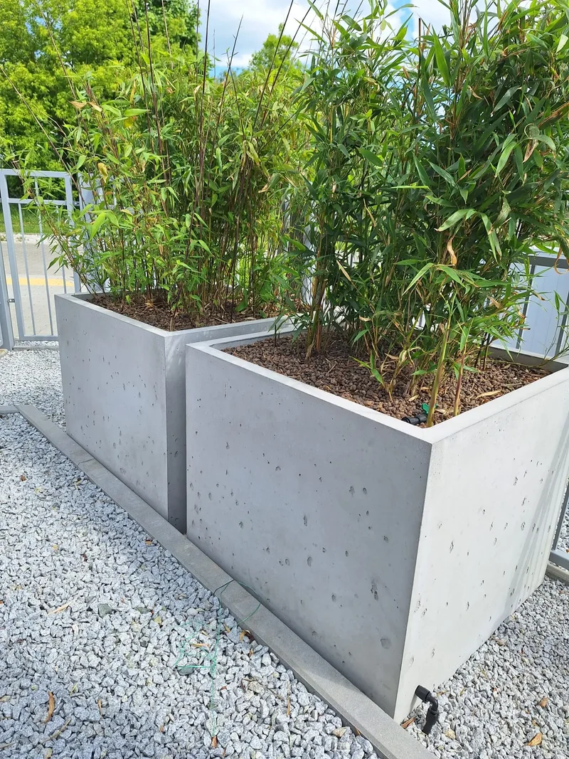 Outdoor Concrete Planters - Rectangle 50x120x50 cm