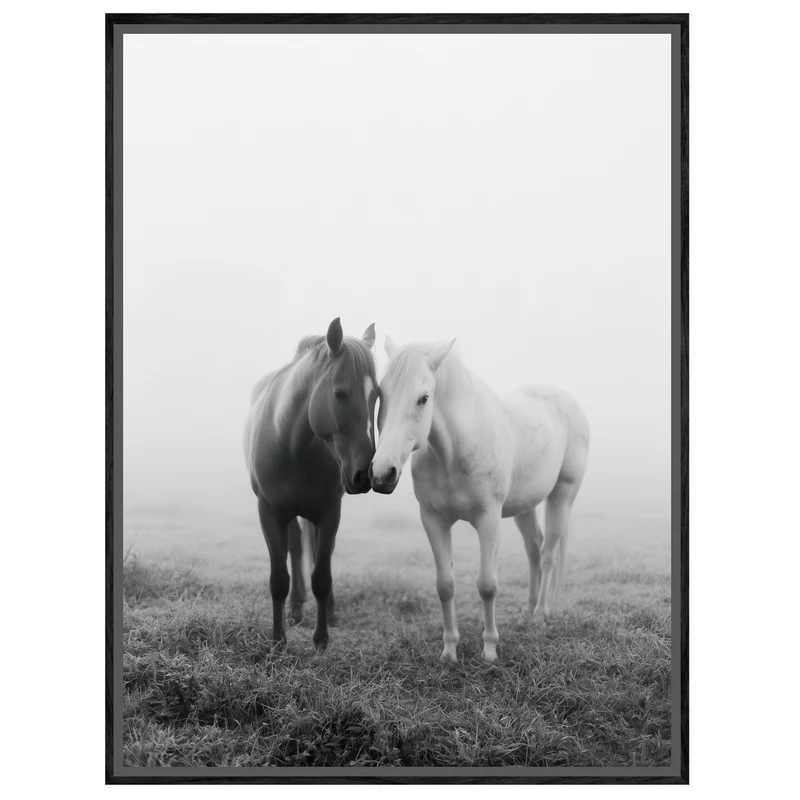 Zwei Pferde im Nebel Leinwand