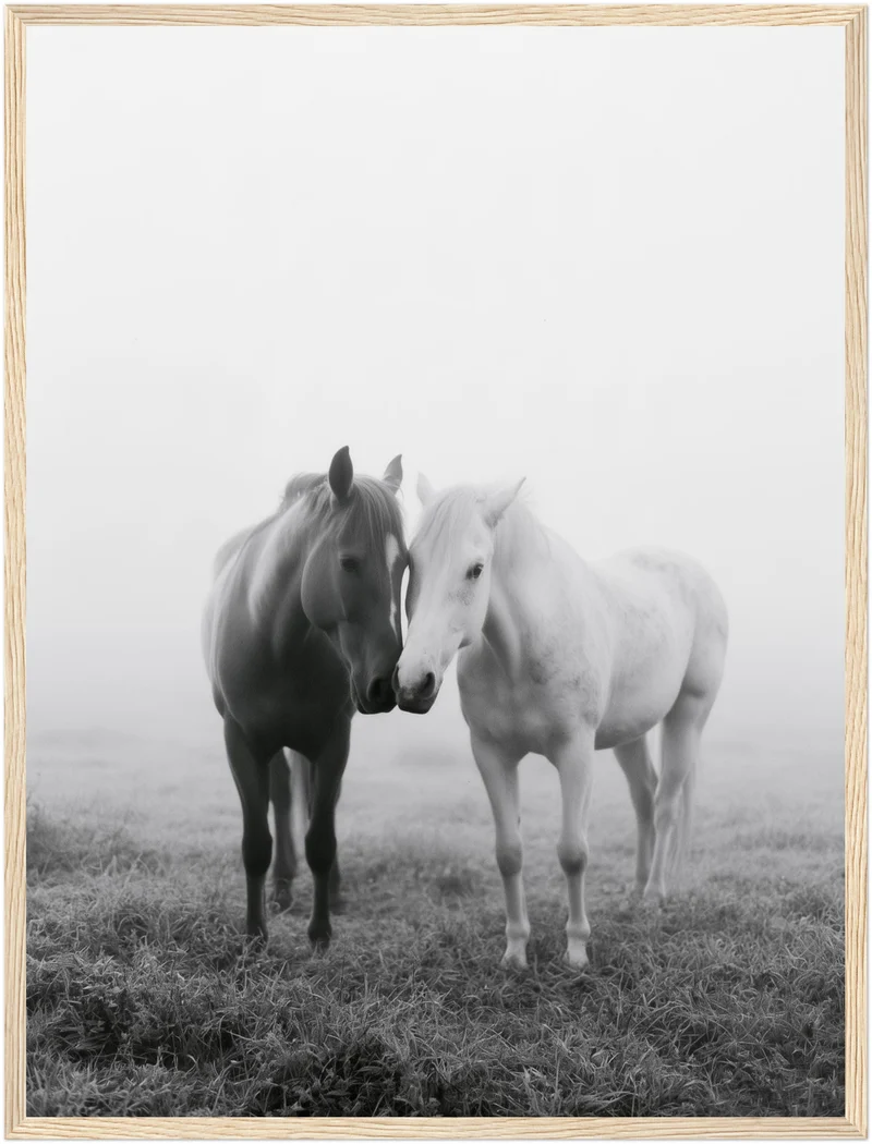 Zwei Pferde im Nebel Poster