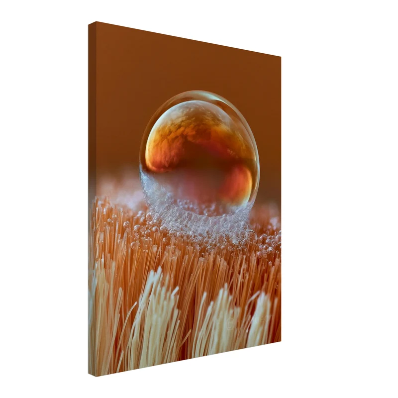 Wassertropfen Makro Nahaufnahme Leinwand