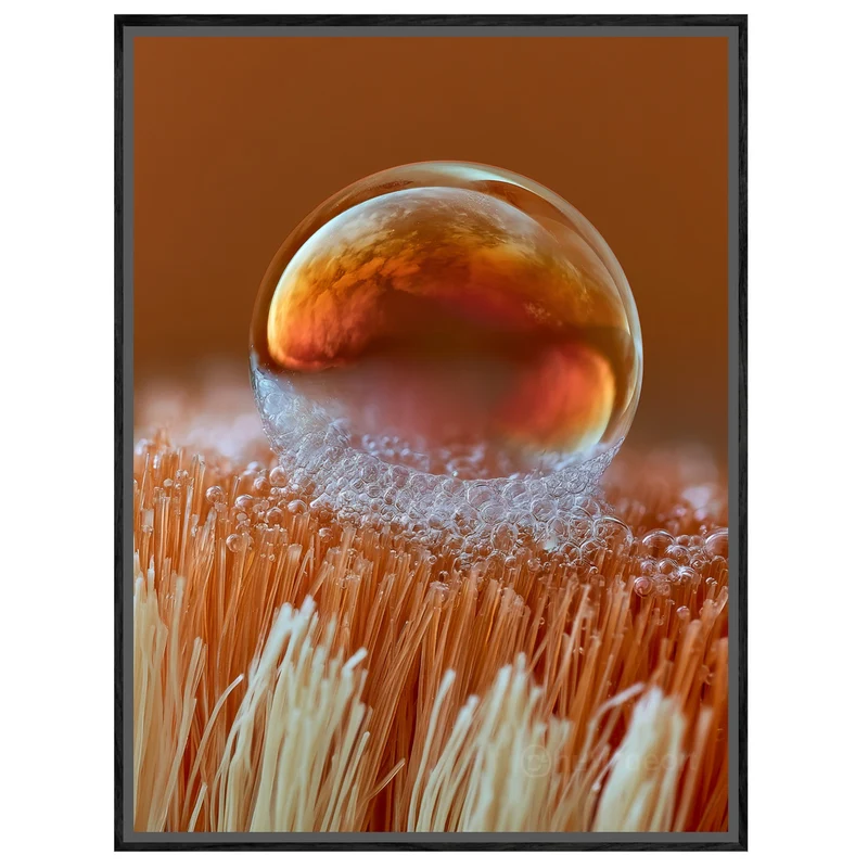 Wassertropfen Makro Nahaufnahme Leinwand