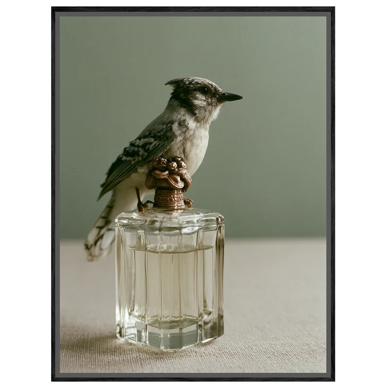 Vogel auf Parfumflasche Leinwand