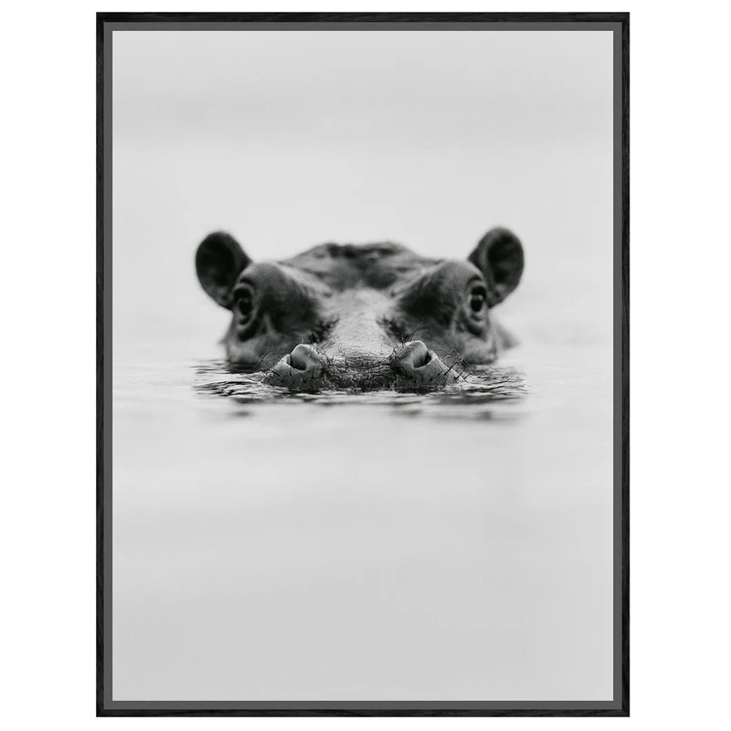 Nilpferd im Wasser Leinwand