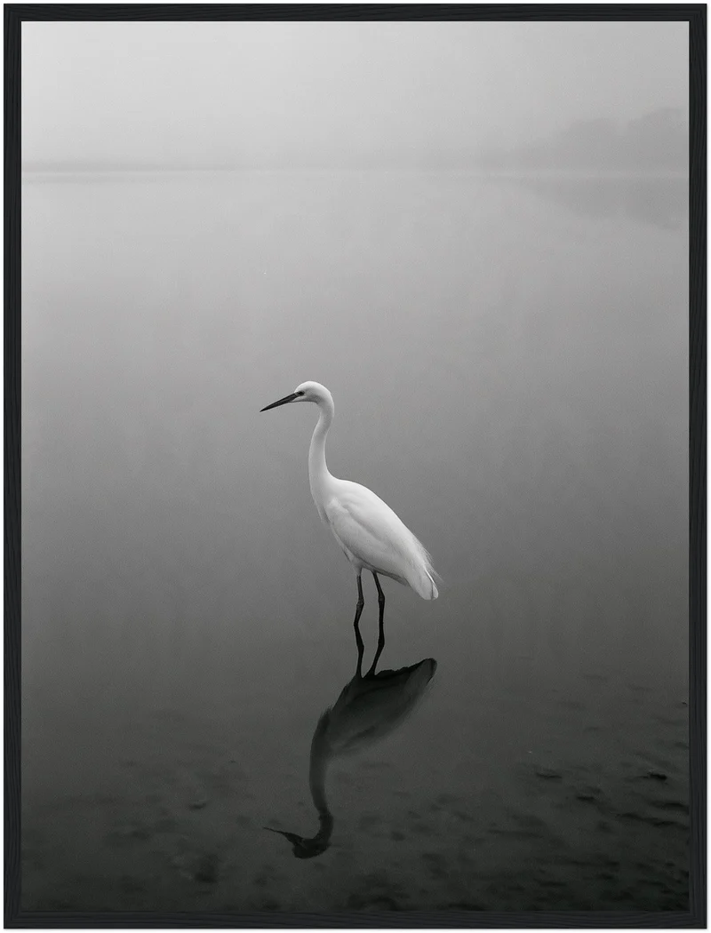 Weißer Reiher im Nebel Poster