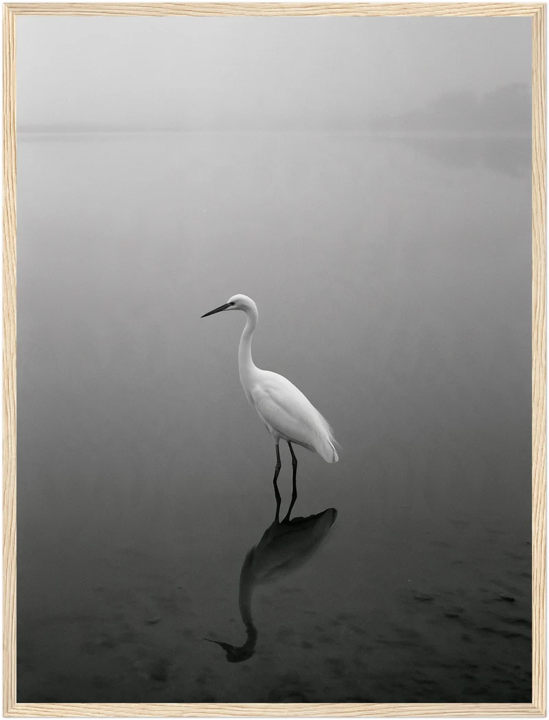 Weißer Reiher im Nebel Poster