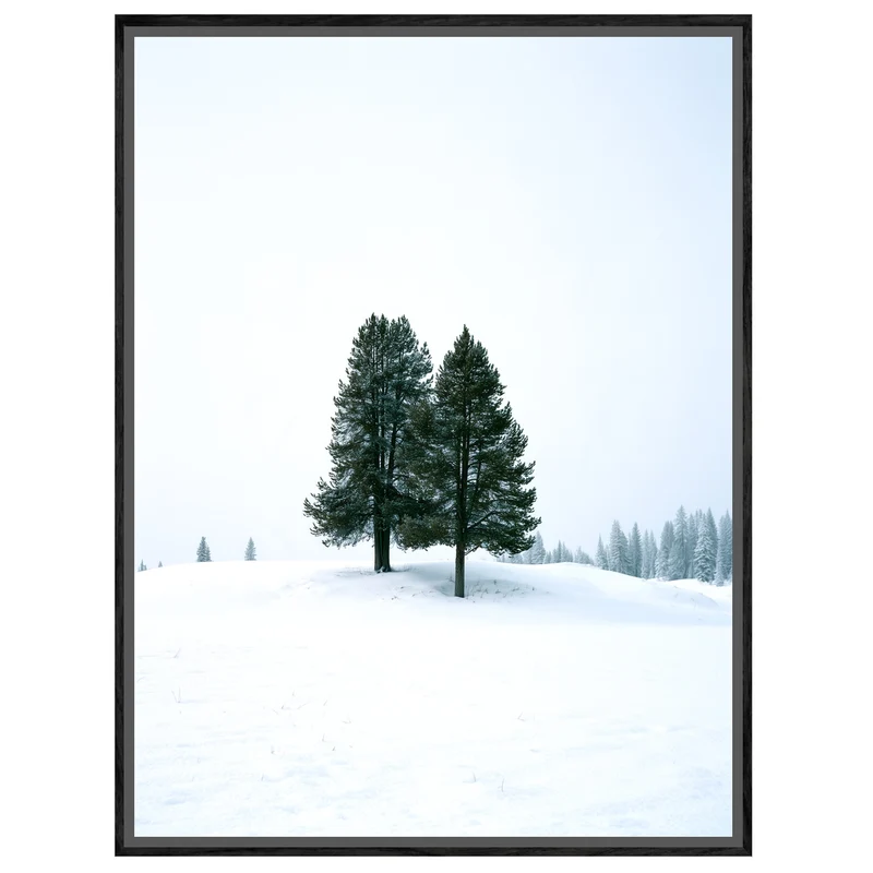 Zwei Tannen im Schnee Leinwand