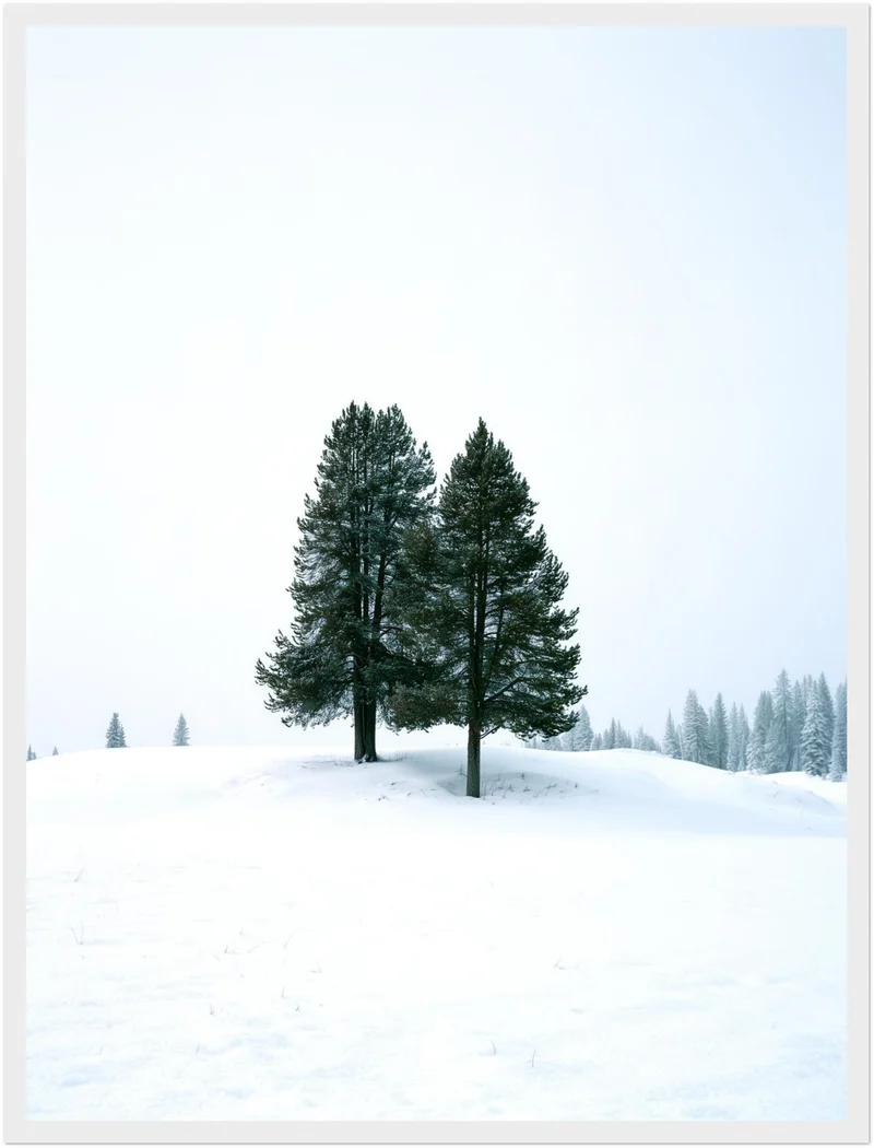 Zwei Tannen im Schnee Poster