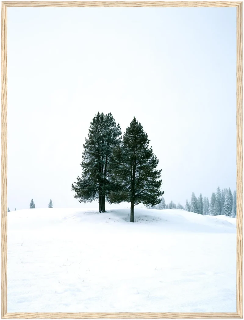 Zwei Tannen im Schnee Poster