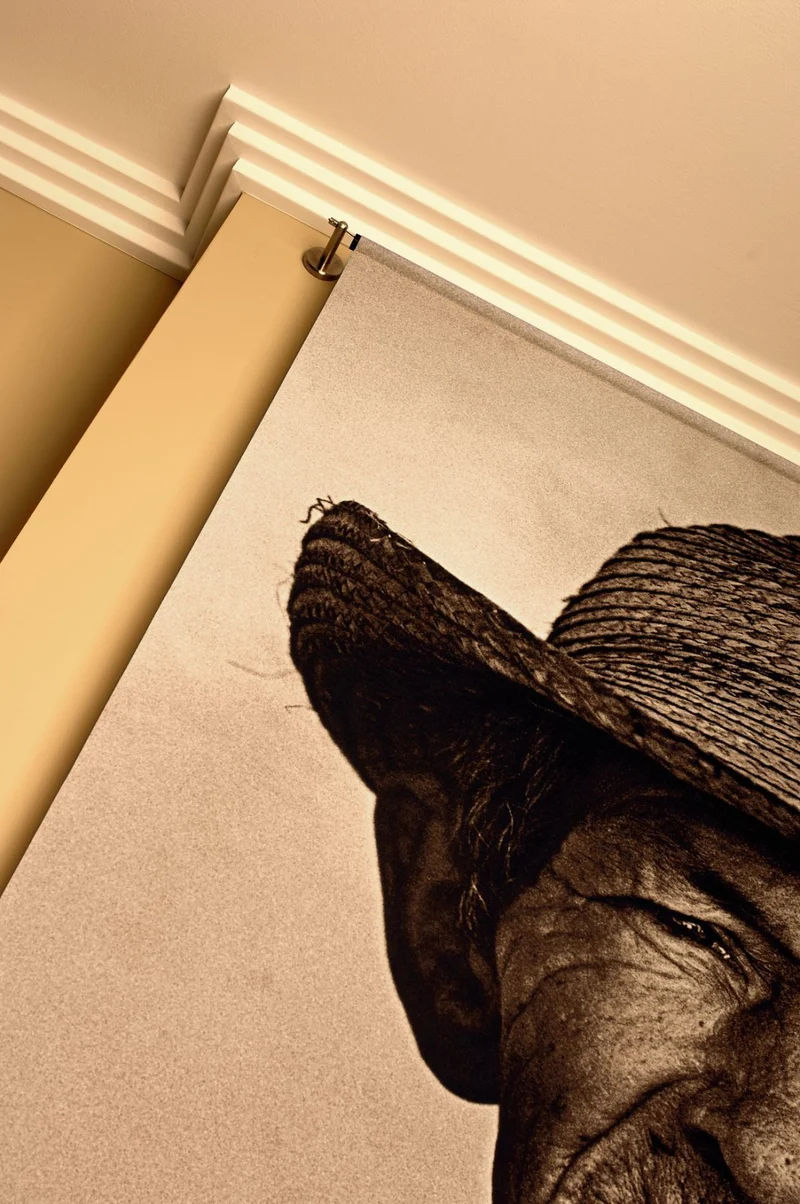 Z52 ARSTYL® 2M COVING