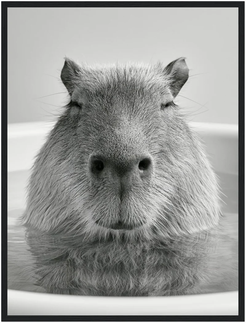 Capybara im Bad Poster