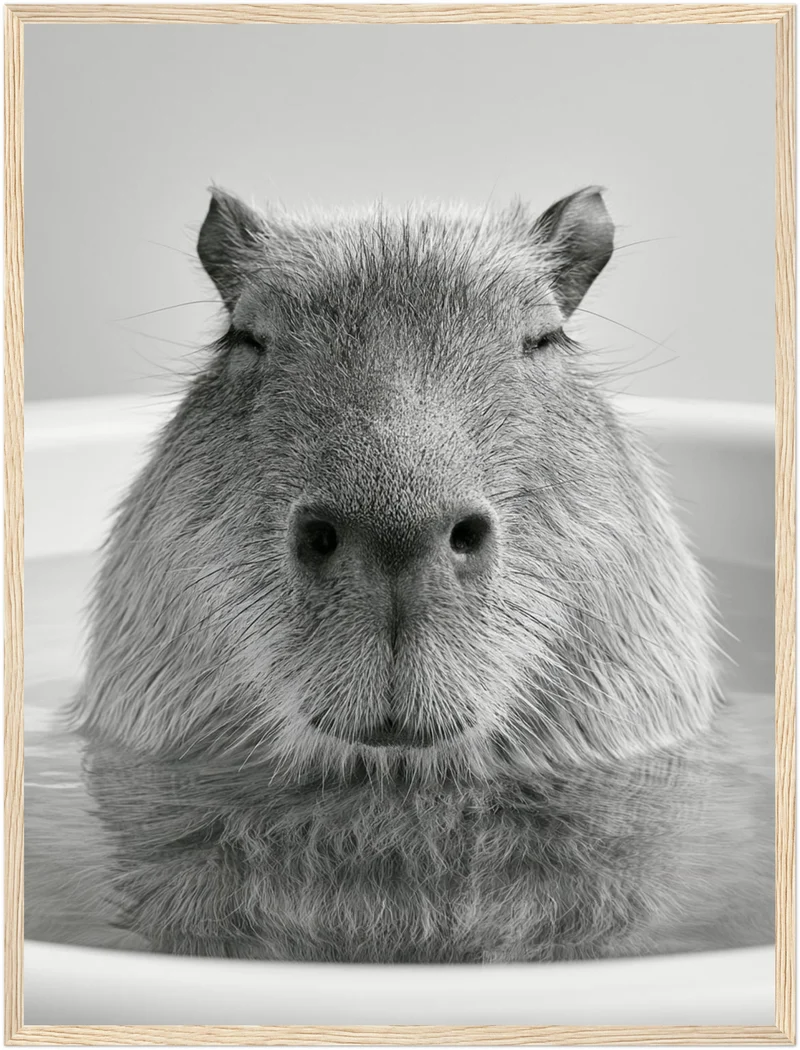 Capybara im Bad Poster