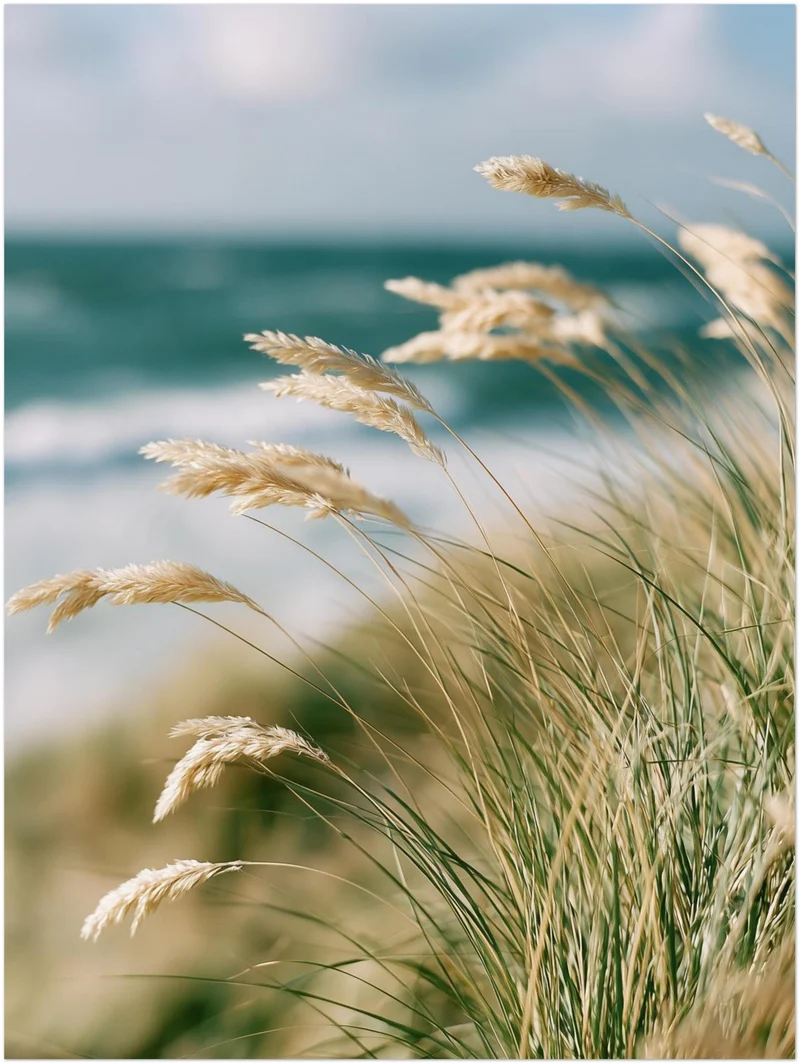 Dünengras am Meer Poster