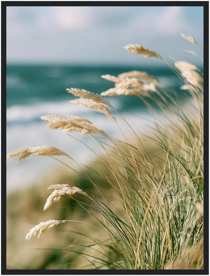 Dünengras am Meer Poster