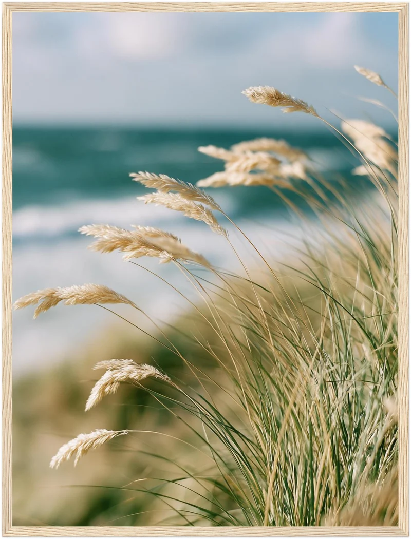 Dünengras am Meer Poster