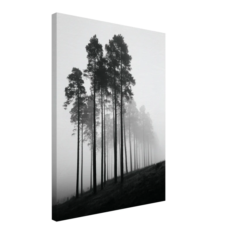 Nebel zwischen Kiefern Leinwand