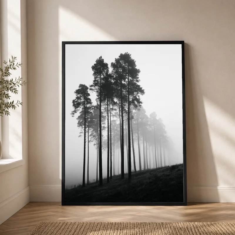 Nebel zwischen Kiefern Poster