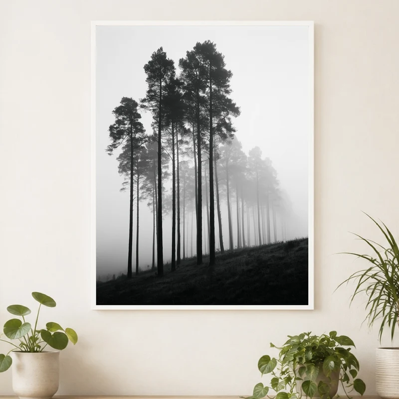 Nebel zwischen Kiefern Poster