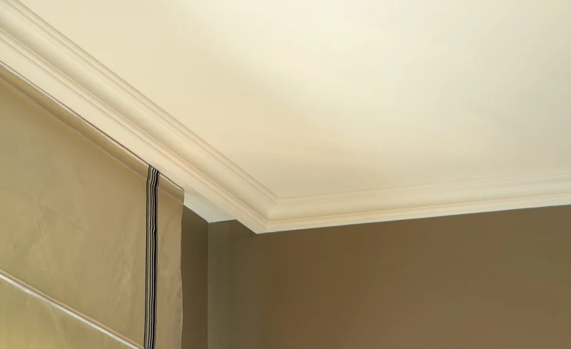 WT5 WALLSTYL® 2M COVING
