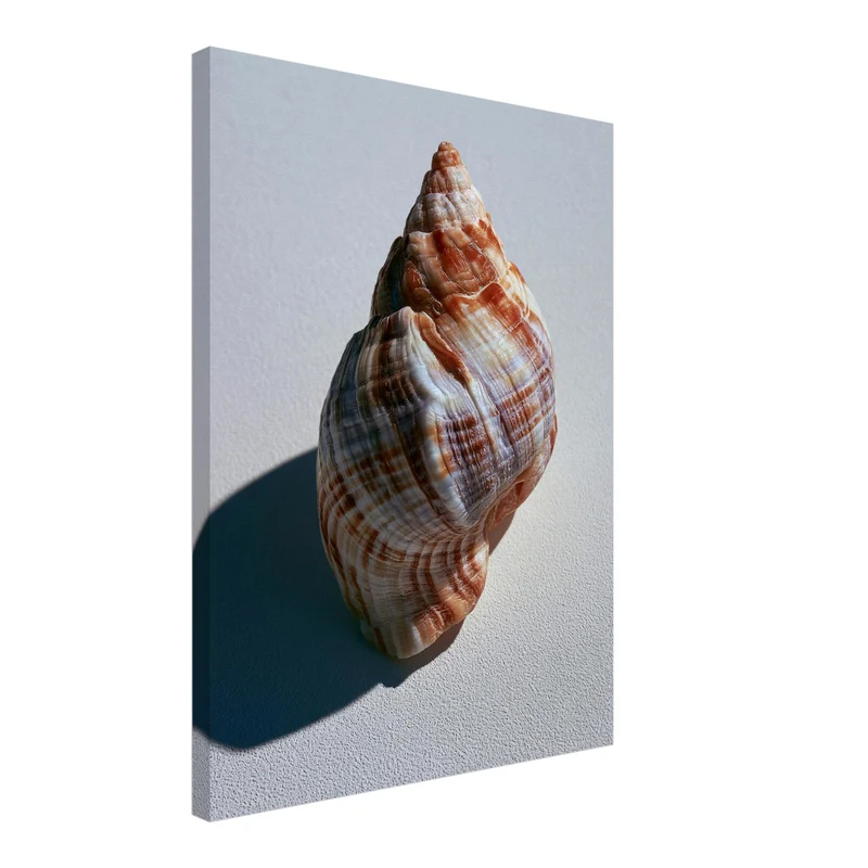 Meeresschnecke Nahaufnahme Leinwand