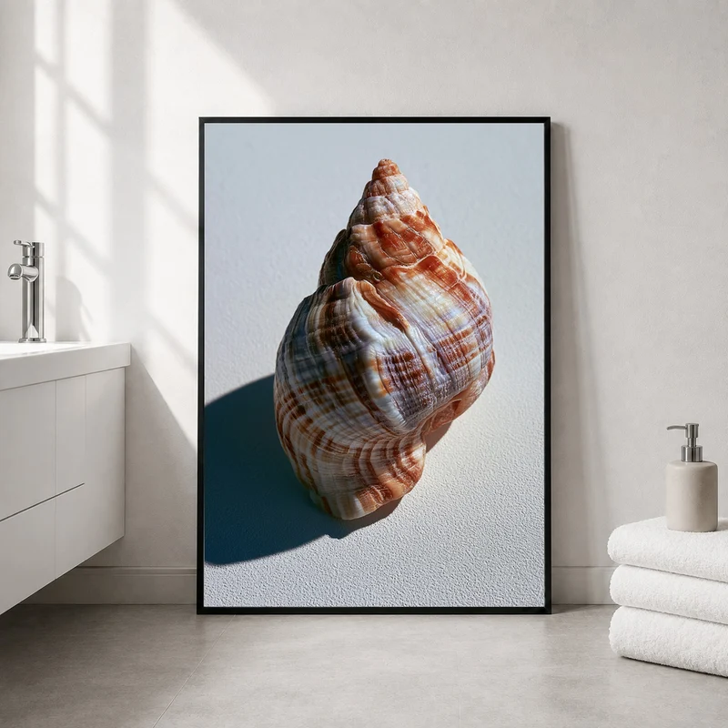Meeresschnecke Nahaufnahme Poster