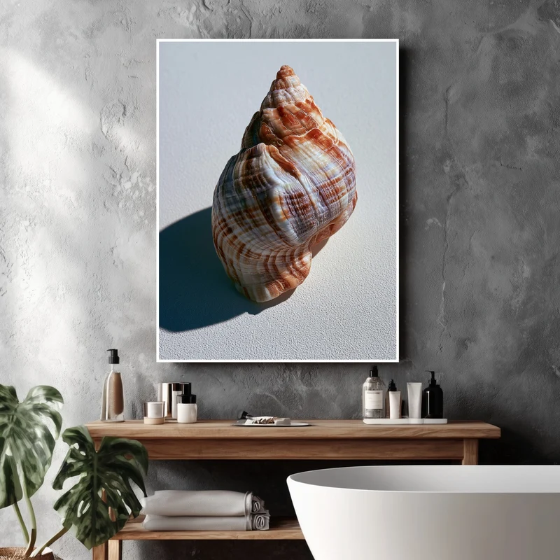 Meeresschnecke Nahaufnahme Poster