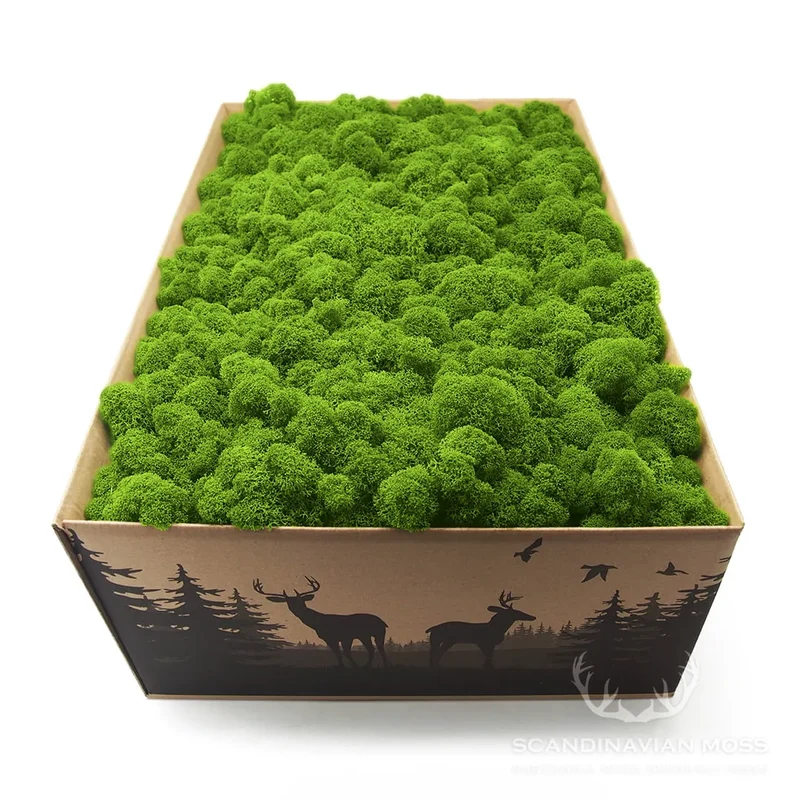 Reindeer Preserved Moss Wall Decor - 0.7 m²