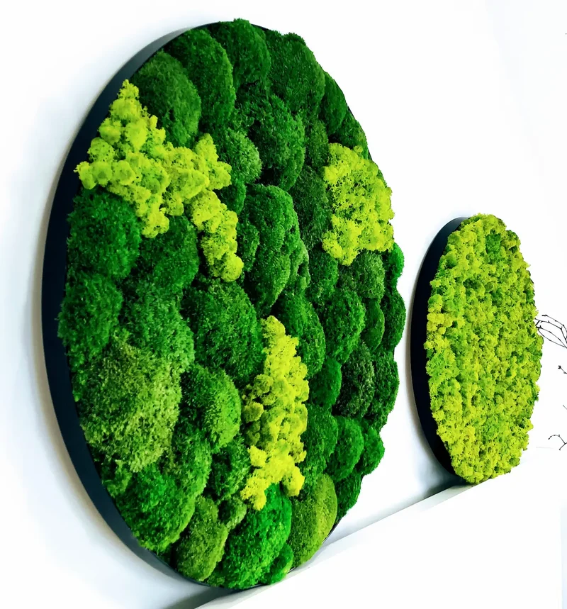 Scandinavian Preserved Moss Sample Box