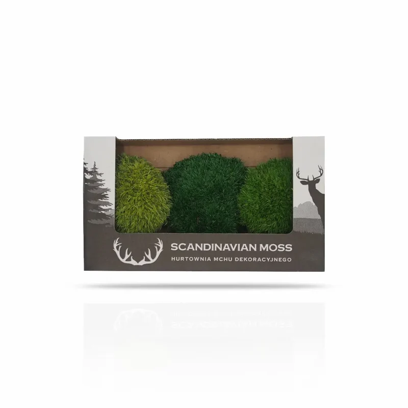 Scandinavian Preserved Moss Sample Box