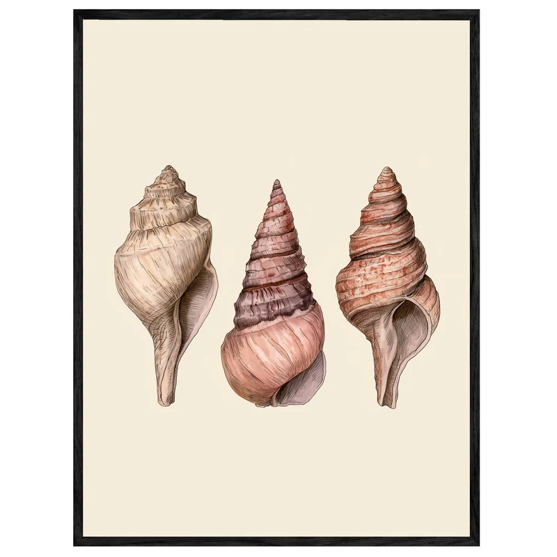 Drei Meeresschnecken Illustration Leinwand