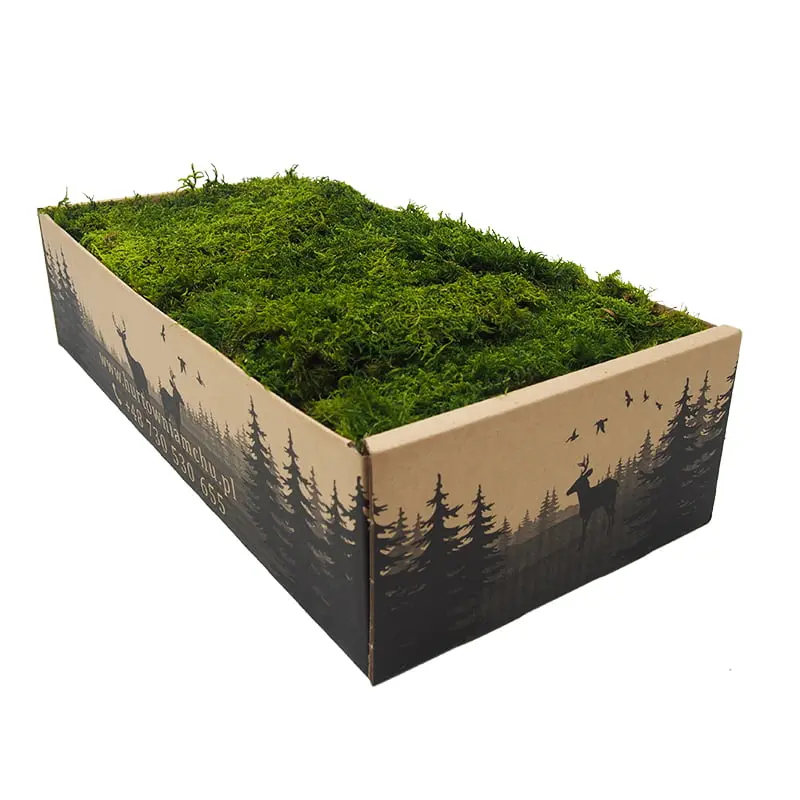 Flat Preserved Moss Wall Decor - 0.2 m²