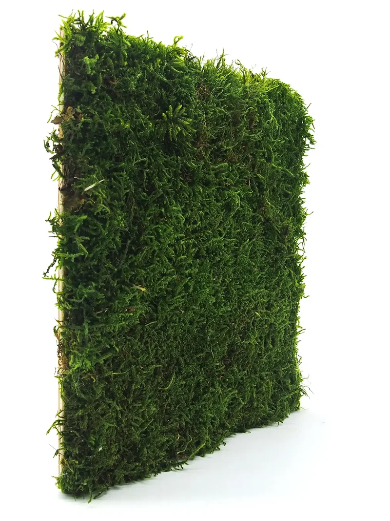 Flat Preserved Moss Wall Decor - 0.2 m²