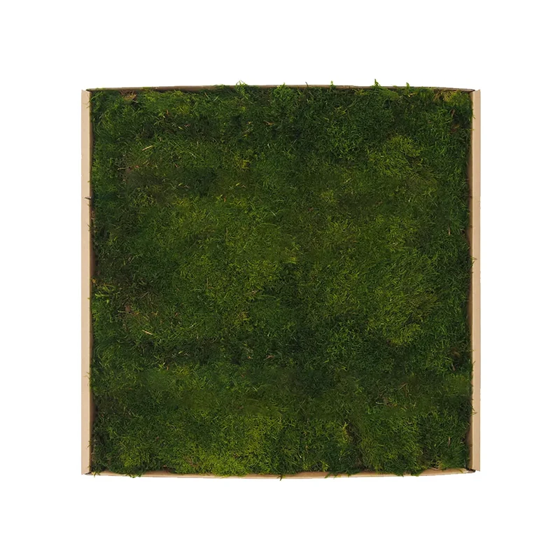 Flat Preserved Moss Wall Decor - 0.2 m²