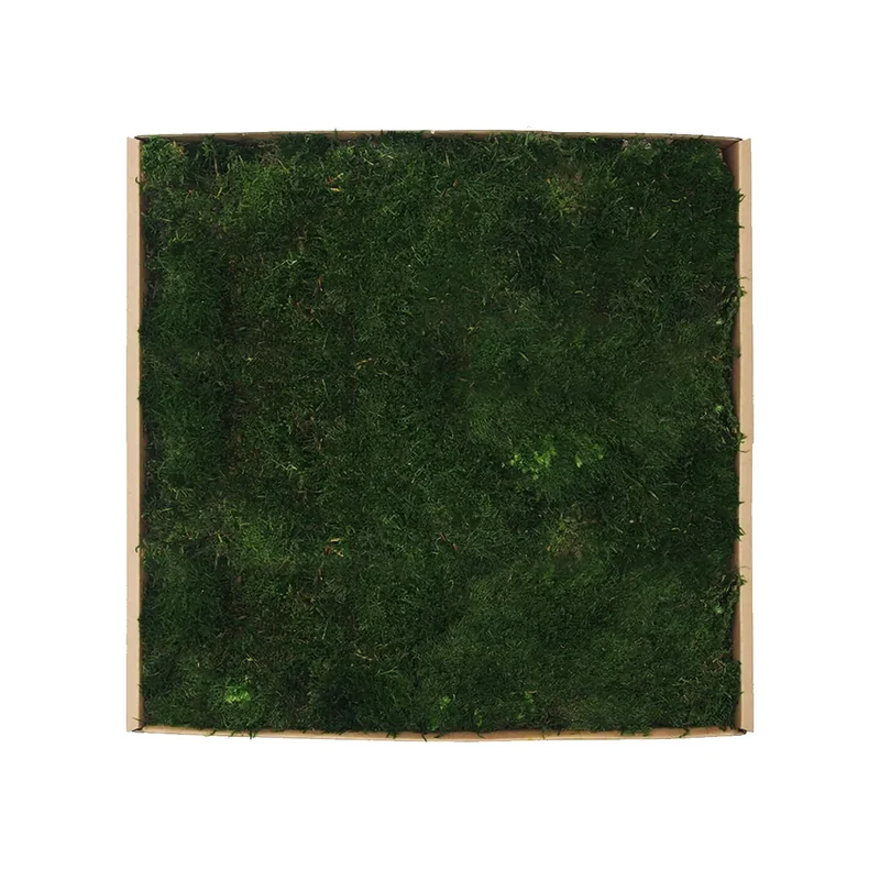 Flat Preserved Moss Wall Decor - 0.2 m²