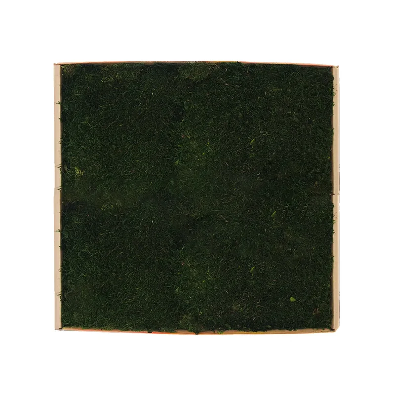 Flat Preserved Moss Wall Decor - 0.2 m²